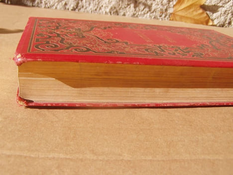 La contrée merveilleuse. Voyage dans l'Arizona et le Nouveau Mexique.- Traduction de W. Battier. Illustrations de Yan' D'argent. . COZZENS S. W. - ...