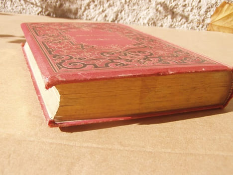 La contrée merveilleuse. Voyage dans l'Arizona et le Nouveau Mexique.- Traduction de W. Battier. Illustrations de Yan' D'argent. . COZZENS S. W. - ...