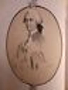 L'Ami des Enfants et des Adolescents.- Illustré de dessins sur bois par Perrassin, Caboche Demerville et Demorine et de douze lithographies par Ferogio