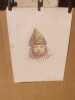 Enfant arabe de Tlemcen. lithographie originale . GEOFFROY J.
