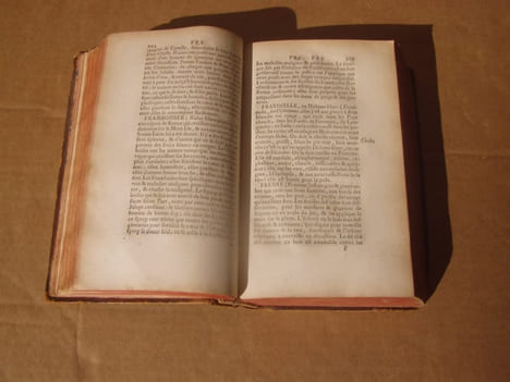 DICTIONNAIRE BOTANIQUE ET PHARMACEUTIQUE, contenant les principales propriétéz des Minéraux, des Végétaux et des Animaux d'usage, avec les ...