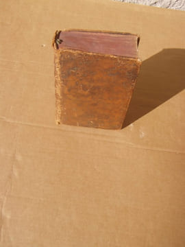 DICTIONNAIRE BOTANIQUE ET PHARMACEUTIQUE, contenant les principales propriétéz des Minéraux, des Végétaux et des Animaux d'usage, avec les ...