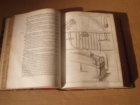 Le nouveau parfait maréchal ou la connoissance générale et universelle du cheval, divisé en sept traités. Avec un dictionnaire des termes de ...