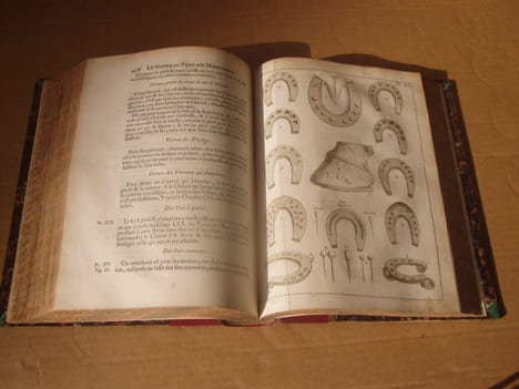 Le nouveau parfait maréchal ou la connoissance générale et universelle du cheval, divisé en sept traités. Avec un dictionnaire des termes de ...