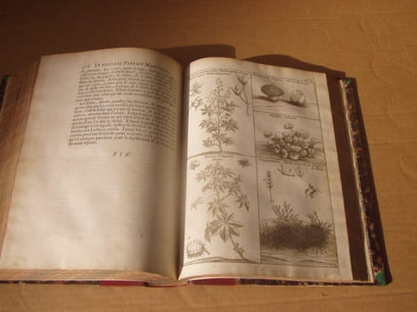 Le nouveau parfait maréchal ou la connoissance générale et universelle du cheval, divisé en sept traités. Avec un dictionnaire des termes de ...