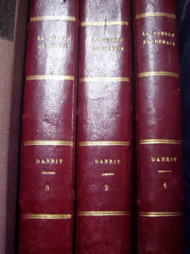 LA GUERRE DE DEMAIN 3 VOLUMES,en livraison,illustrations in et ht de Cousturier P., . DANRIT -