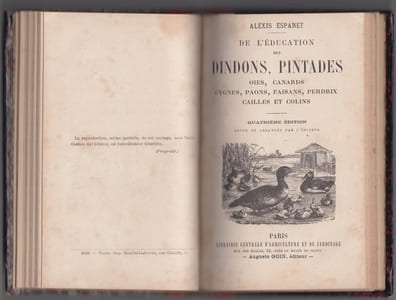 De l'Éducation du lapin domestique, De l'Éducation des dindons, pintades, oies, canards, cygnes, paons, faisans, perdrix, cailles et colins.
