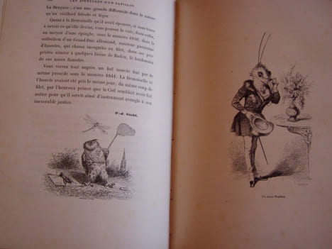 Scènes de la vie privée et publique des animaux. Etudes de Moeurs contemporaines publiées sous la direction de P.J. STAHL avec la collaboration de ...