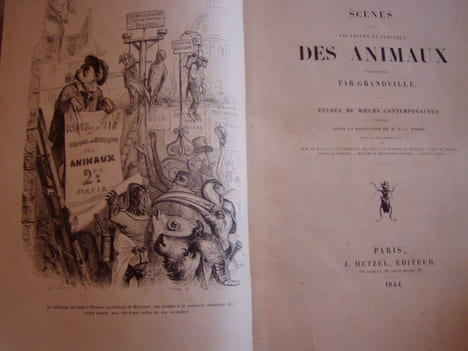 Scènes de la vie privée et publique des animaux. Etudes de Moeurs contemporaines publiées sous la direction de P.J. STAHL avec la collaboration de ...
