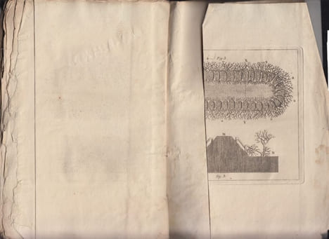 MEMOIRE SUR LA MANIERE DE RESSERER LE LIT DES TORRENTS ET DES RIVIERES . BERAUD M.