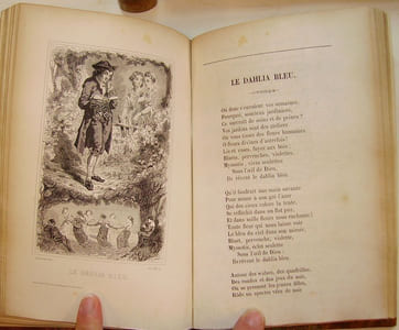 Chants et chansons (poésie et musique).