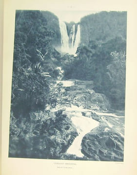 Atlas des plantes ornementales et curieuses de Madagascar, publié à l'occasion de l'Exposition coloniale internationale Paris 1931.. [MADAGASCAR] ...
