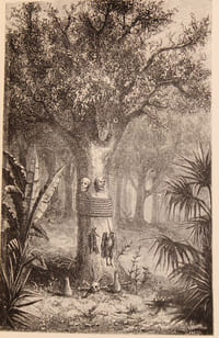 Fétichisme et féticheurs.