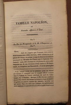 Dépêches et Lettres interceptées par Des Partis Détachés de l'Armée Combinée du Nord de l'Allemagne. Titre anglais : Copies of the original letters ...