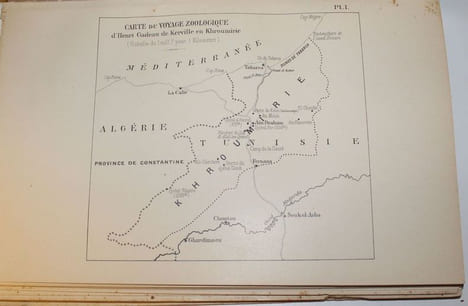 Voyage zoologique en Khroumirie (Tunisie). Mai - juin 1906. Avec quatre mémoires du Comte Carl Attems, d'Ignacio Bolivar, du Dr Raphaël Blanchard et ...