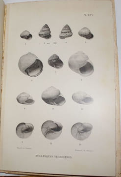 Voyage zoologique en Khroumirie (Tunisie). Mai - juin 1906. Avec quatre mémoires du Comte Carl Attems, d'Ignacio Bolivar, du Dr Raphaël Blanchard et ...