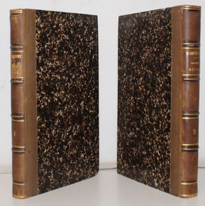 Double règne. Chronique du treizième siècle.