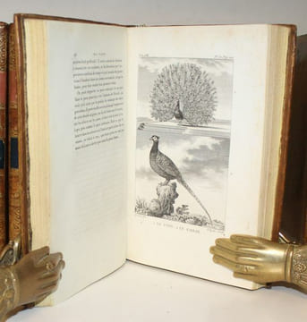 Histoire naturelle de Buffon, mis en ordre d'après le plan tracé par lui-même, et dans laquelle on a conservé religieusement le texte de l'auteur.. ...