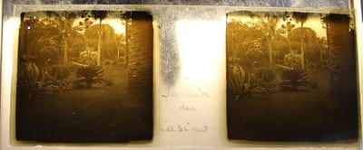 Collection de photographies stéréoscopique sur plaque de verre.