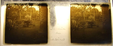 Collection de photographies stéréoscopique sur plaque de verre.. [COTE D'AZUR - NICE] PHILIPPE (Paul).