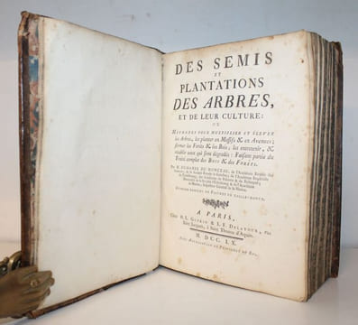 Des semis et plantations des arbres, et de leur culture ; ou méthodes pour multiplier et élever les Arbres, les plantes en Massifs & en Avenues ; ...