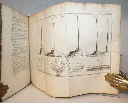 Des semis et plantations des arbres, et de leur culture ; ou méthodes pour multiplier et élever les Arbres, les plantes en Massifs & en Avenues ; ...