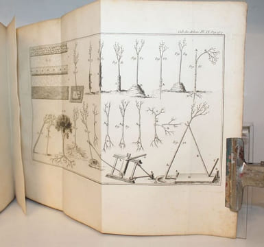 Des semis et plantations des arbres, et de leur culture ; ou méthodes pour multiplier et élever les Arbres, les plantes en Massifs & en Avenues ; ...
