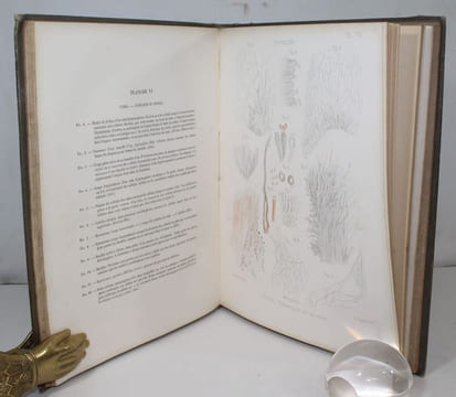 Recherches pour servir à l'histoire naturelle des végétaux inférieurs . I : Des Fistulines. II : Polypores. III : Ière partie : De la formation des ...