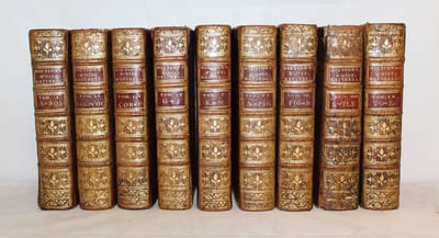 Dictionnaire raisonné universel d'Histoire Naturelle, contenant l'histoire des Animaux, des Végétaux et des Minéraux,  et celle des Corps célestes, des Météores, & des autres principaux Phénomènes de la Nature. Avec l'histoire et la description des drogues simples tirées des trois règnes ; Le détail de leurs usages dans la Médecine; dans l'Economie domestique et champêtre, & dans les Arts & Métiers: Avec une Table concordante des Noms latins &le renvoi aux objets mentionnés dans cet ouvrage.