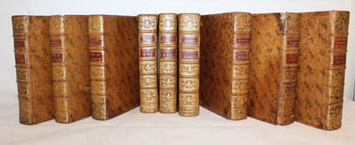 Dictionnaire raisonné universel d'Histoire Naturelle, contenant l'histoire des Animaux, des Végétaux et des Minéraux,  et celle des Corps célestes, des Météores, & des autres principaux Phénomènes de la Nature. Avec l'histoire et la description des drogues simples tirées des trois règnes ; Le détail de leurs usages dans la Médecine; dans l'Economie domestique et champêtre, & dans les Arts & Métiers: Avec une Table concordante des Noms latins &le renvoi aux objets mentionnés dans cet ouvrage.
