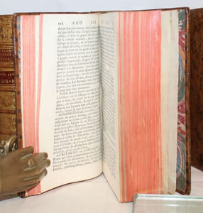 Dictionnaire raisonné universel d'Histoire Naturelle, contenant l'histoire des Animaux, des Végétaux et des Minéraux,  et celle des Corps célestes, des Météores, & des autres principaux Phénomènes de la Nature. Avec l'histoire et la description des drogues simples tirées des trois règnes ; Le détail de leurs usages dans la Médecine; dans l'Economie domestique et champêtre, & dans les Arts & Métiers: Avec une Table concordante des Noms latins &le renvoi aux objets mentionnés dans cet ouvrage.