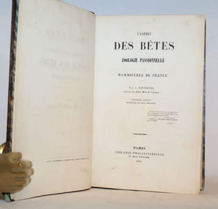 L'Esprit des bêtes. Zoologie passionnelle -Mammifères de France