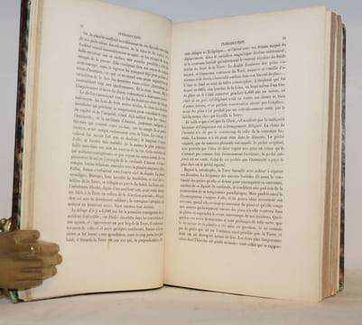 L'Esprit des bêtes. Zoologie passionnelle -Mammifères de France. TOUSSENEL (A.)