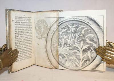 Dissertation ou Lettre écrite à Monsieur Poirier, Conseiller ordinaire du Roy en ses Conseils d'État & Privé, premier Medecin de Sa Majesté, & Surintendant General des Eaux, Bains, & Fontaines minerales & medecinales de France. [...] touchant la nature & les effets des Eaux minerales & medecinales de S. Paul de Roüen.