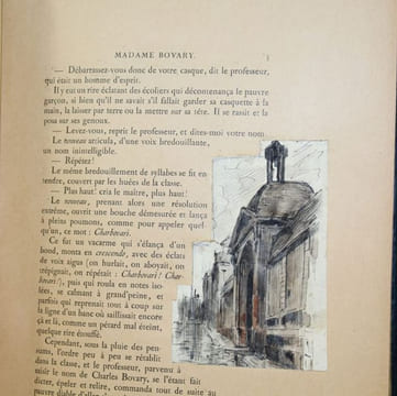 Madame Bovary, murs de province. Exemplaire d'épreuve enrichi de 98 dessins originaux de l'artiste.. [JOURDAIN (Henri)] FLAUBERT (Gustave).