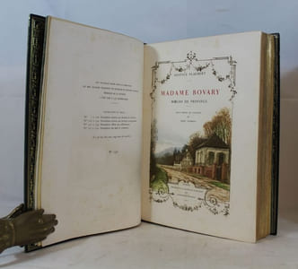 Madame Bovary, murs de province. Exemplaire d'épreuve enrichi de 98 dessins originaux de l'artiste.