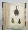 The naturalist's librairy. Entomology. Beetles Vol.II.. DUNCAN (James).