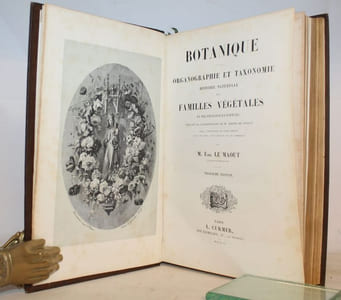 Les trois Règnes de la Nature. Botanique, Organographie et Taxonomie. Histoire des familles végétales et des principales espèces suivant la classification de M. Adrien De Jussieu anvec l'indication de leur emploi dans les arts, les sciences et le commerce.