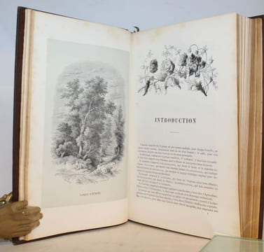 Les trois Règnes de la Nature. Botanique, Organographie et Taxonomie. Histoire des familles végétales et des principales espèces suivant la ...