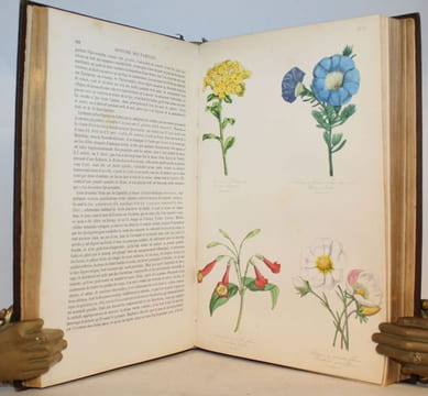 Les trois Règnes de la Nature. Botanique, Organographie et Taxonomie. Histoire des familles végétales et des principales espèces suivant la ...
