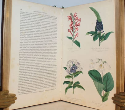 Les trois Règnes de la Nature. Botanique, Organographie et Taxonomie. Histoire des familles végétales et des principales espèces suivant la ...