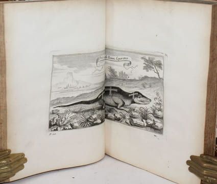 Voyage de Siam, des peres jesuites, envoyez par le Roy, aux Indes à la Chine. Avec leurs observations astronomiques, et leurs remarques de physique, ...