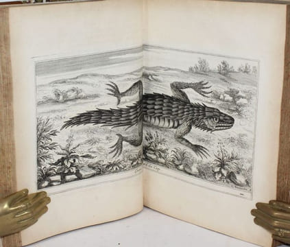 Voyage de Siam, des peres jesuites, envoyez par le Roy, aux Indes à la Chine. Avec leurs observations astronomiques, et leurs remarques de physique, ...