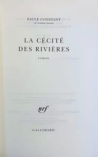 La Cécité des rivières. Roman.