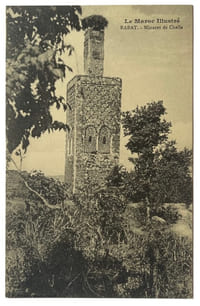 Carte postale autographe, adressée à son ami Curnonsky.