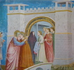 La peinture gothique.. DUPONT (Jacques) & GNUDI (Cesare)