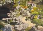 Rocailles fleuries.. CORREVON (Aymon)