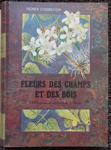 Fleurs des champs et des bois.