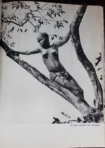 Noir d'ivoire.