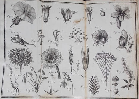 Histoire des plantes vénéneuses de la Suisse, contenant leur description, leurs mauvais effets sur les hommes et sur les animaux, avec leurs ...